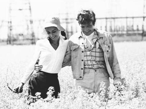 Audrey Hepburn and Albert Finney walking through a field in a scene from Two for the Road, 1967