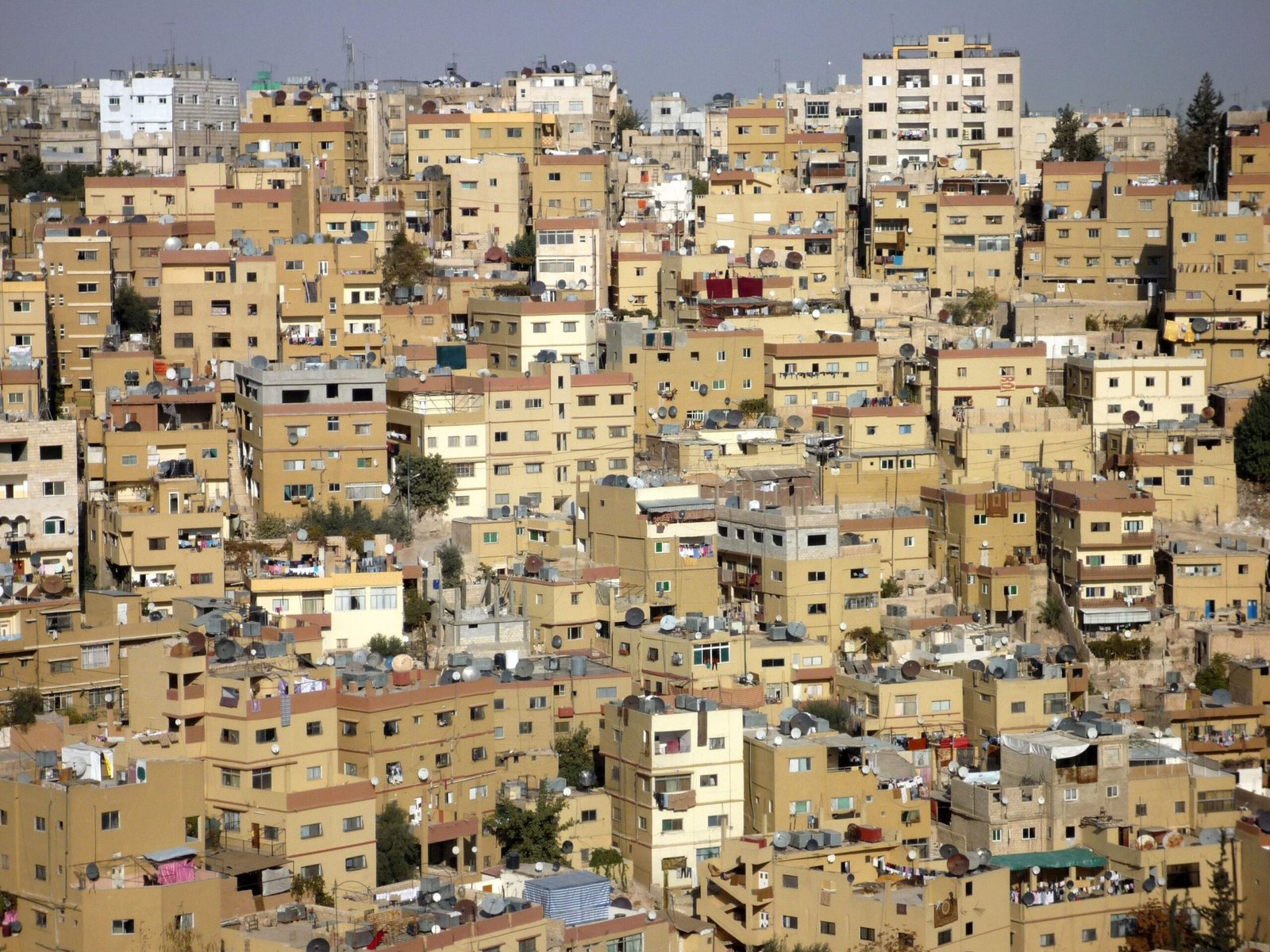 Residential skyline of Amman, the capital of Jordan (representative photo)