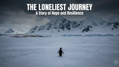 This Viral Penguin Story Is Breaking Hearts Across Social Media