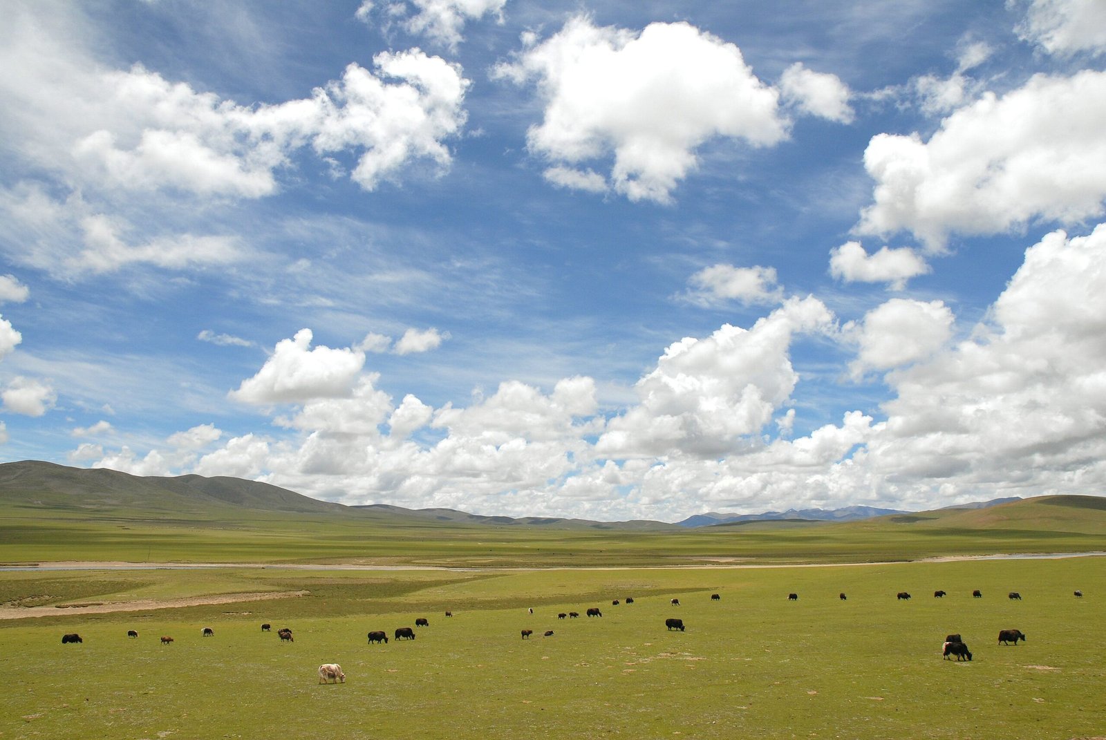 The vast Tibetan plateau, near the Nagqu region of Tibet